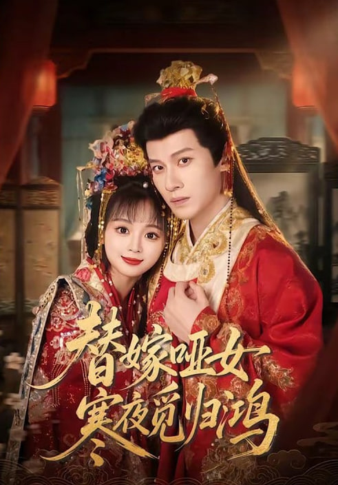 替嫁哑女寒夜觅归鸿